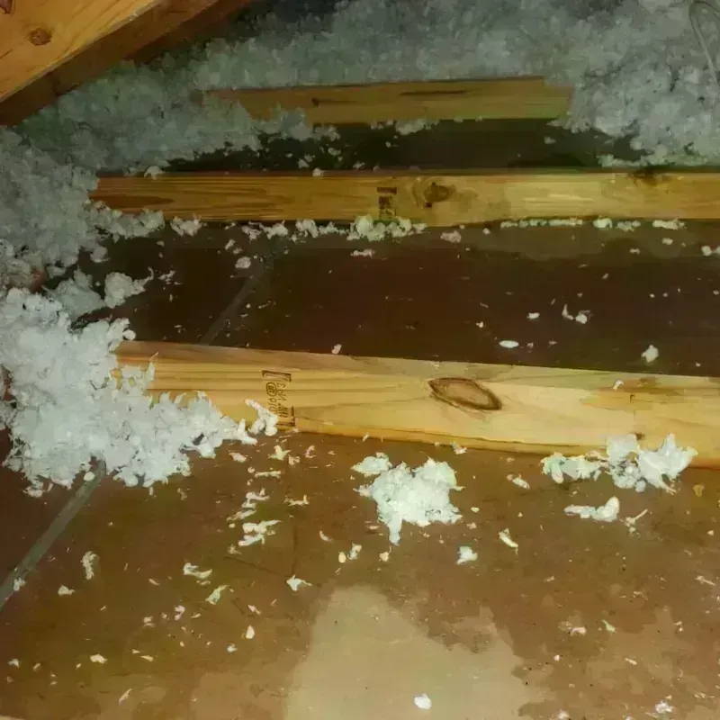 Attic Water Damage in Durand, IL