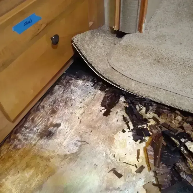 Best Wood Floor Water Damage Service in Durand, IL